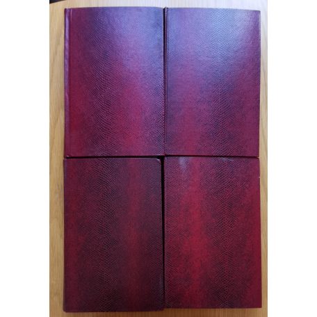 Lovag Vlad Zniemsky: A vörös álarcos  (folytatásos regény - Képes Regény Újság 1-176.)