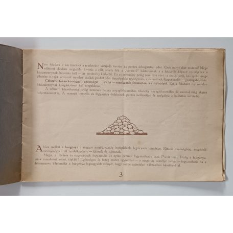 Vitéz Kolgyáry László, Dr. (szerk.): A magyar néptáplálkozás