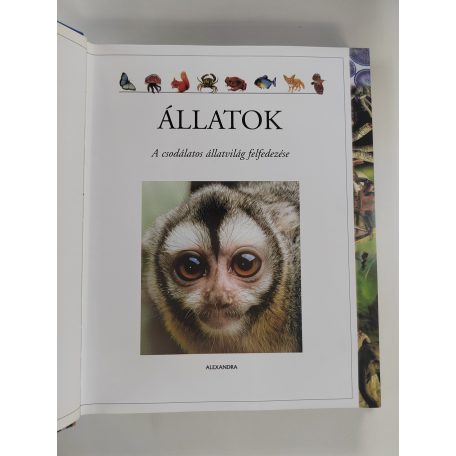Jinny Johnson – Martin Walters: Állatok