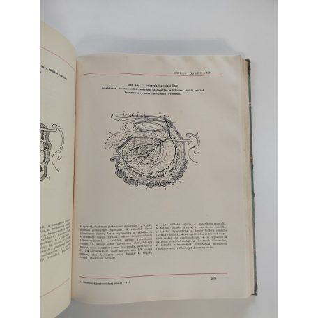 Kovács Gyula, Dr.: Háziállatok anatómiájának atlasza