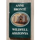Anne Brontë: Wildfell asszonya