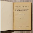 Thomas Mann: Varázshegy I-IV.