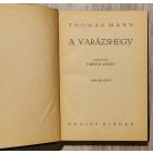 Thomas Mann: Varázshegy I-IV.