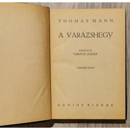 Thomas Mann: Varázshegy I-IV.