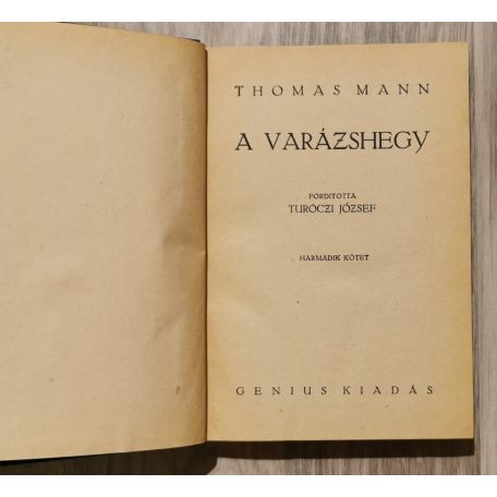 Thomas Mann: Varázshegy I-IV.