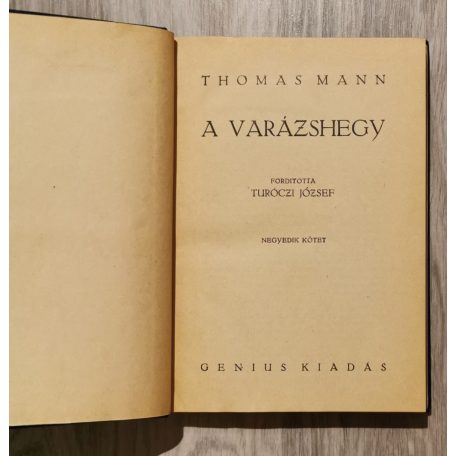 Thomas Mann: Varázshegy I-IV.