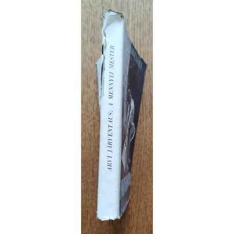 Arvi Jarventaus: A mennyei mester