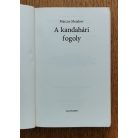 Marcus Meadow: A kandahári fogoly - Kincsvadászat Afganisztánban