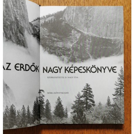 Mátyás Csaba: Az erdők nagy képeskönyve