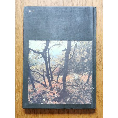 Mátyás Csaba: Az erdők nagy képeskönyve