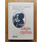 Kosztolányi Dezsőné Harmos Ilona: Tüzes cipőben