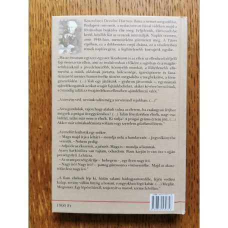 Kosztolányi Dezsőné Harmos Ilona: Tüzes cipőben