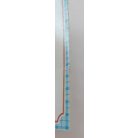 Jose-Luis Macias: Juli és a kutyus