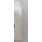 Pierre Probst: Karolina háza