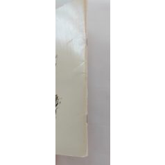 Pierre Probst: Karolina háza