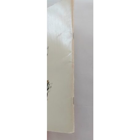 Pierre Probst: Karolina háza