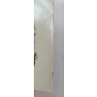 Pierre Probst: Karolina és a téli sportok