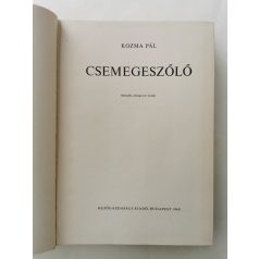 Kozma Pál: Csemegeszőlő