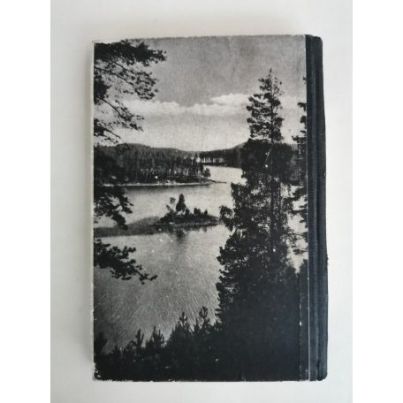 Erdődi József: Épülő ország (Finnország) (Számozott)