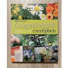 Anne McIntyre: Gyógynövények cserépben 