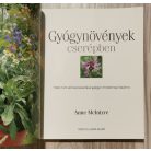Anne McIntyre: Gyógynövények cserépben 