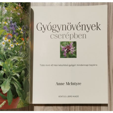 Anne McIntyre: Gyógynövények cserépben 