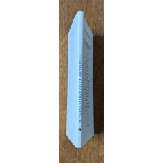 Alessandro Baricco: Vértelenül