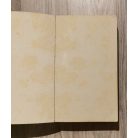 Vavyan Fable: Sárkánykönny