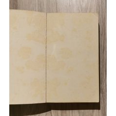 Vavyan Fable: Sárkánykönny