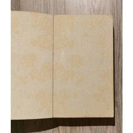 Vavyan Fable: Sárkánykönny