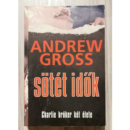 Andrew Gross: Sötét idők