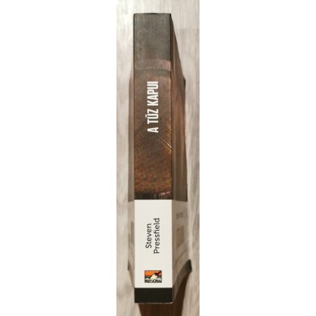 Steven Pressfield: A tűz kapui