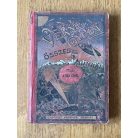 Jules Verne (Verne Gyula): Utazás a Föld körül 