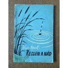 Vigh József: Rezzen a nád