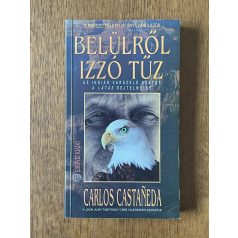 Carlos Castaneda: Belülről izzó tűz