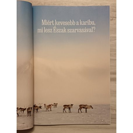 National Geographic Magazin 2004-2023. (20 teljes évfolyam, eredeti mellékletekkel együtt!)