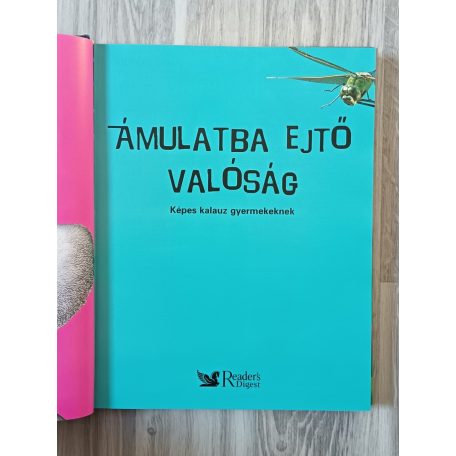 Ámulatba ejtő valóság - Képes kalauz gyermekeknek
