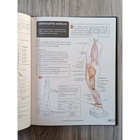 Mark Vella, Dr: Fitneszanatómia