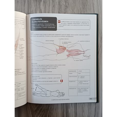 Mark Vella, Dr: Fitneszanatómia