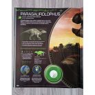 Steve Brusatte: Dinoszauruszok nagykönyve