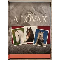 Bagoly Ilona (szerk.): Kedvenceink a lovak