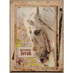 Szarvas Tímea: Varázslatos lovak
