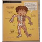 Matricavarázs: Az emberi test 
