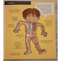 Matricavarázs: Az emberi test 