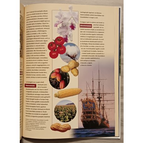 Rainer Dr. Köthe: Felfedezők és utazásaik (Mi micsoda 16.)