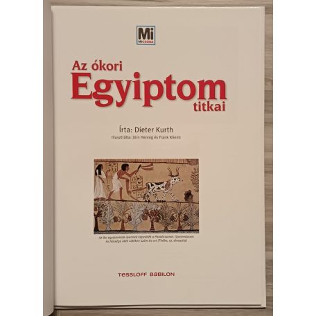 Dieter Kurth: Az ókori Egyiptom titkai (Mi micsoda 40.)