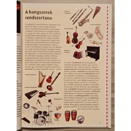 Frank P. Bär: Hangszerek (Mi micsoda 59.)