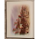 Kész Barnabás: Lovagok - Illusztrált atlasza (3D-s könyvek)