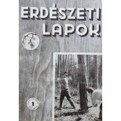 FOLYÓIRATOK / PERIODIKÁK