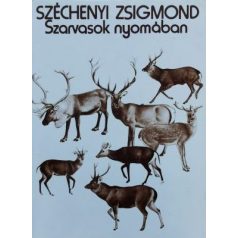 Széchenyi Zsigmond